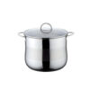 RW0209 Metal Stockpot with Glass Lid Wholesale Supplier
