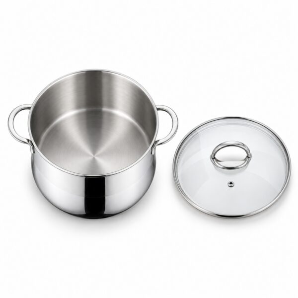 RW0209 Metal Stockpot with Glass Lid Wholesale Supplier