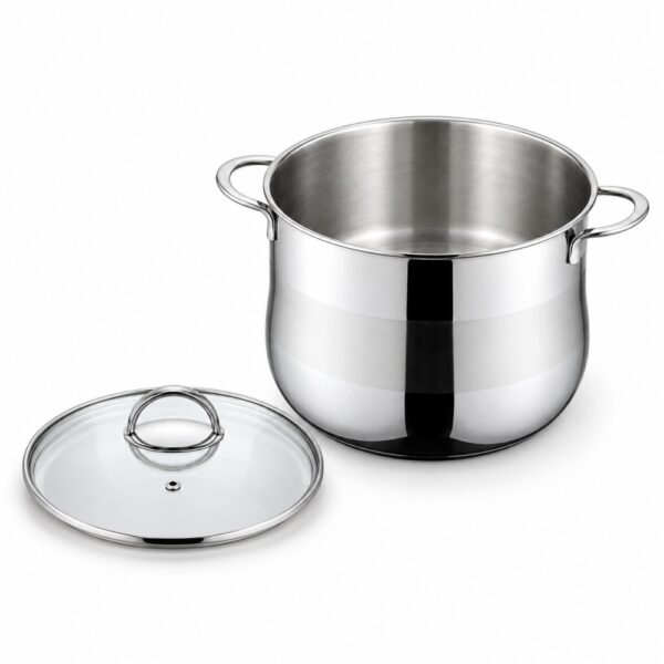RW0209 Metal Stockpot with Glass Lid Wholesale Supplier